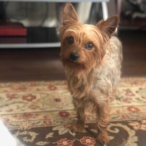 Meet your Posher, Katya